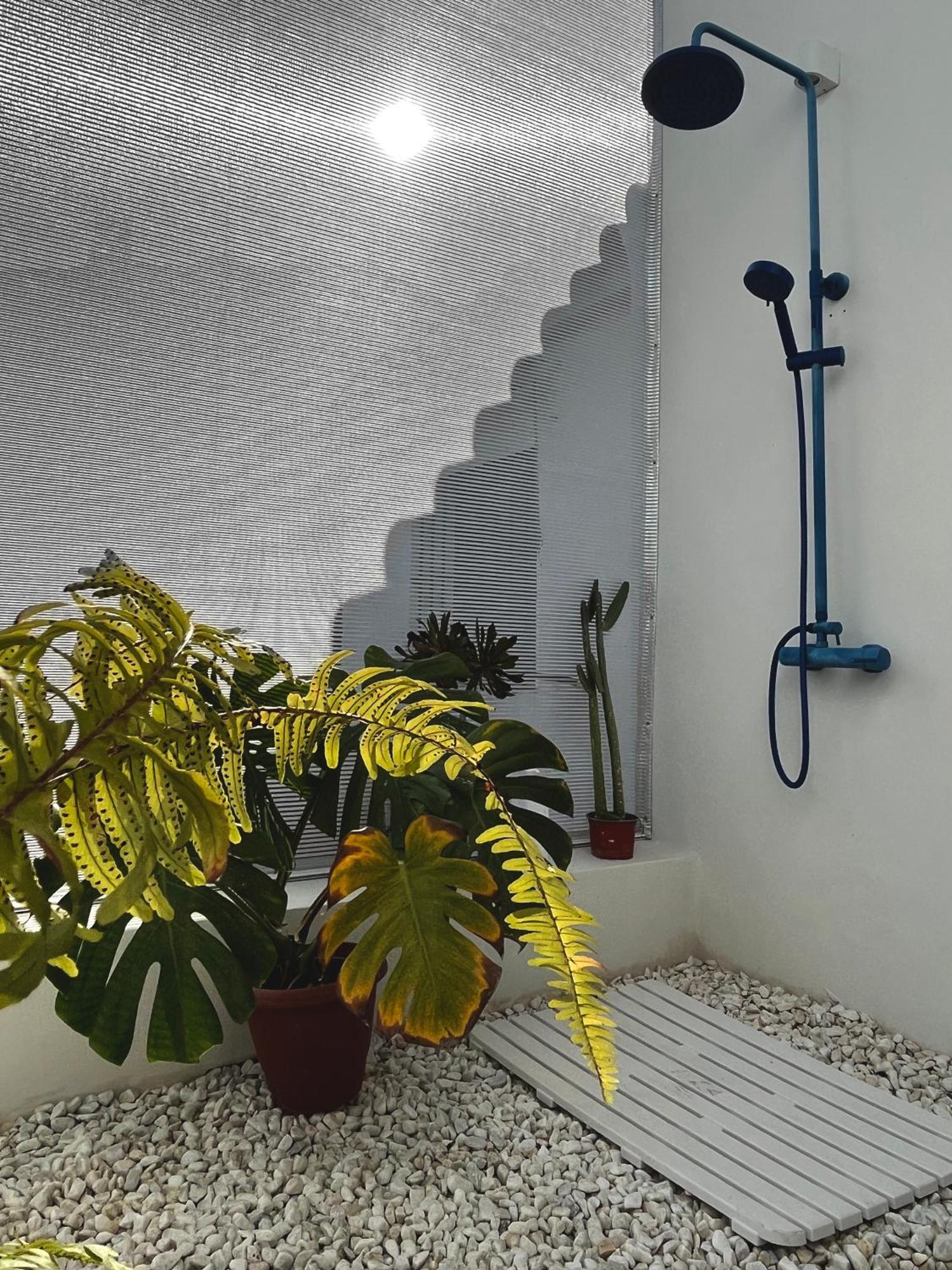 Design & Art, Patio With Orange Tree, Near Seville Carrion de Los Cespedes Exterior photo